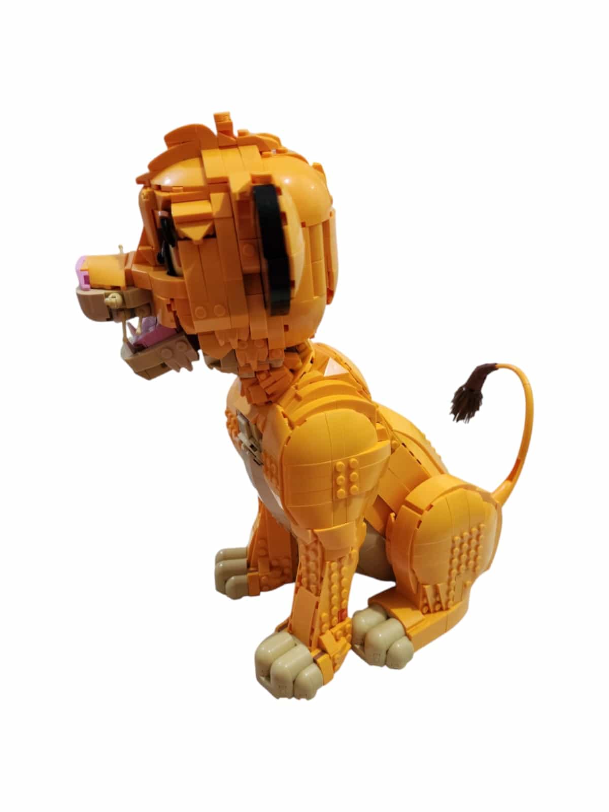 סימבה מורכב – תמונה 3